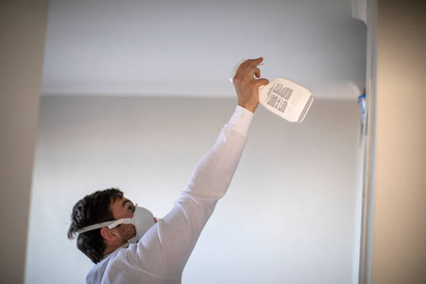 Best Attic Mold Removal  in Walworth, WI