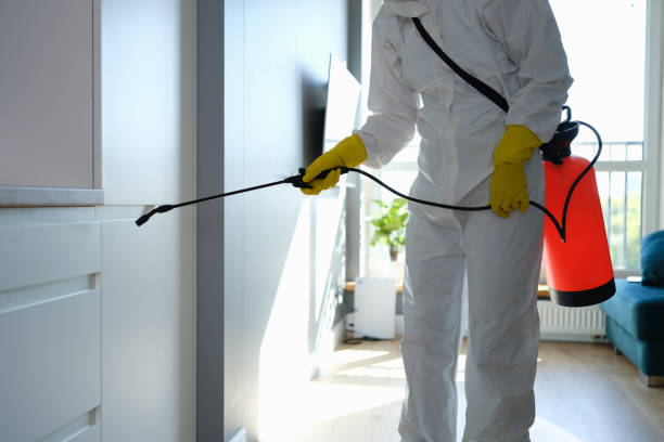 Certified Mold Removal in Walworth, WI