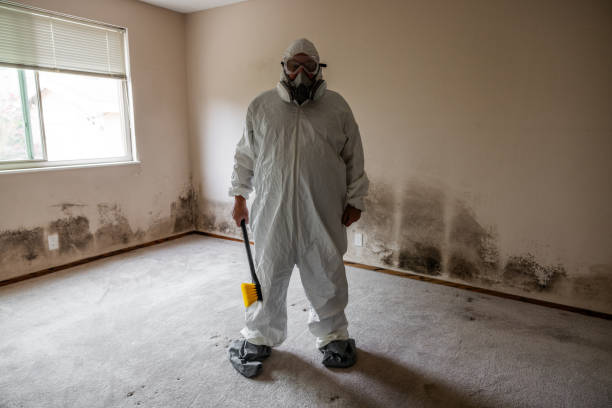 Best Mold Removal and Inspection  in Walworth, WI